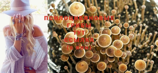 мескалин Арсеньев
