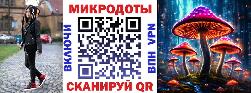 Псилоцибиновые грибы Cubensis Грайворон